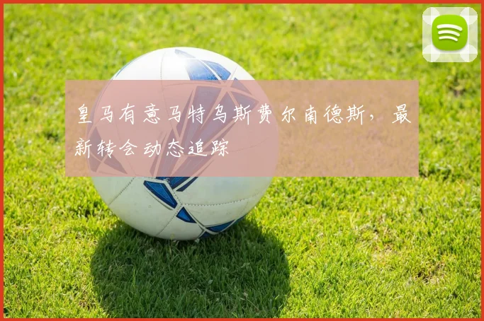 皇马有意马特乌斯费尔南德斯,最新转会动态追踪