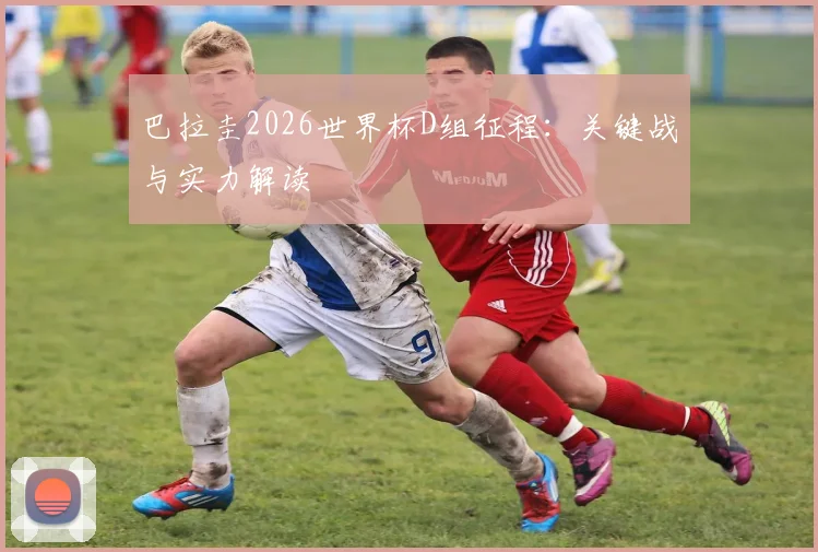 巴拉圭2026世界杯D组征程：关键战与实力解读